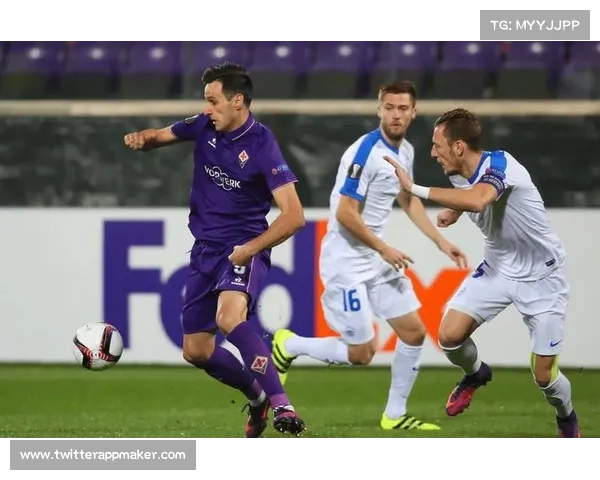 足球的各项赛事_足球赛事百科全书：从国际大赛到本土联赛全方位解读精彩瞬间